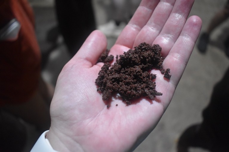 Hand holding cacao beans ground 13.jpg